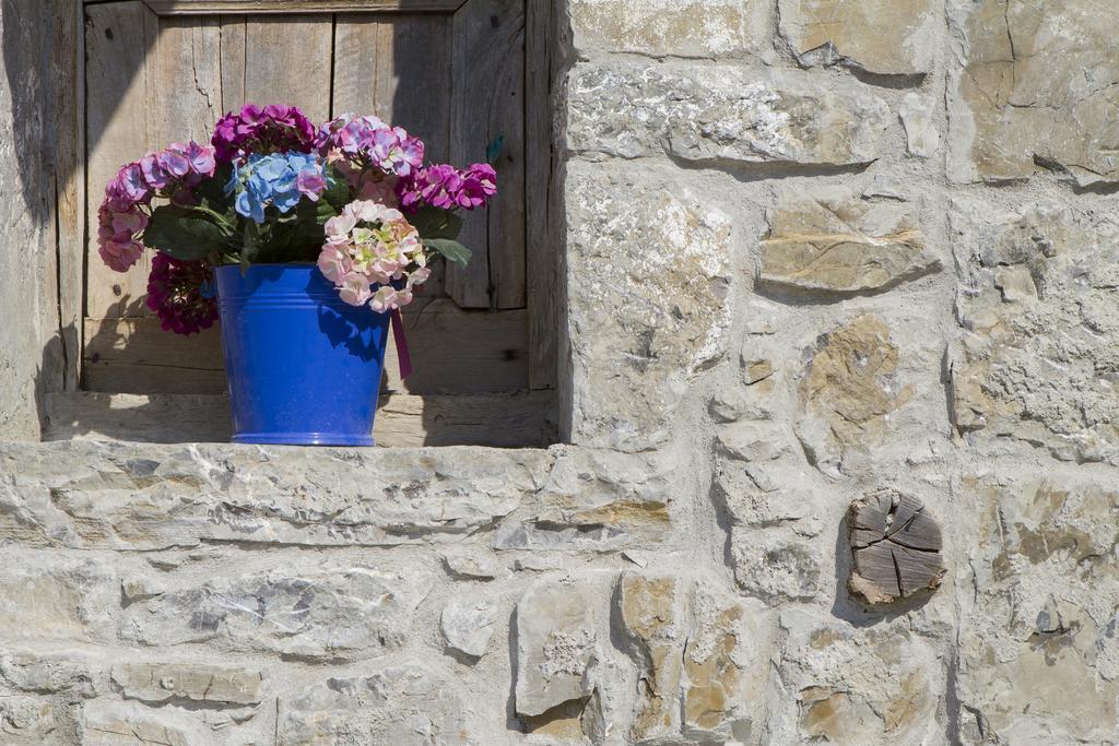 Casa Delle Noci Βίλα Grimacco Εξωτερικό φωτογραφία